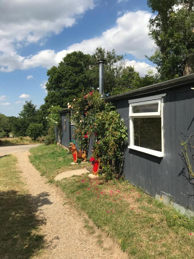 Séjour à la ferme Adorable Hideaway With Log Fire And Incredible Views Robertsbridge